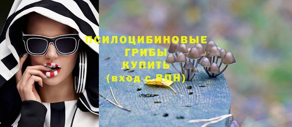 spice Баксан