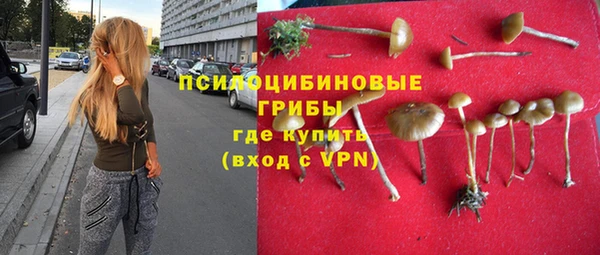 spice Баксан