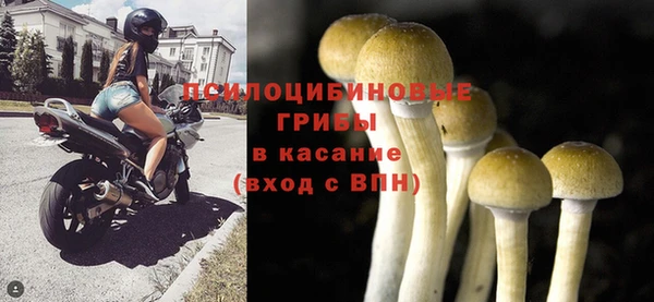 spice Баксан
