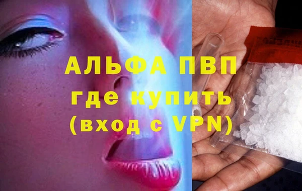 прущие грибы Семикаракорск