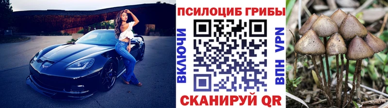 hydra ссылки  Обоянь  Псилоцибиновые грибы GOLDEN TEACHER 